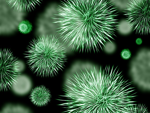 Green Microbes Bacteria Pathogen Germs Infection, courtesy maxpixvel.freegreatpicture.com.