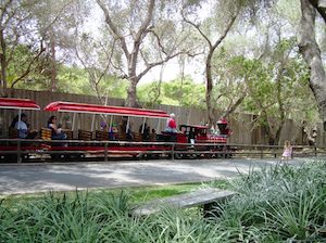 Santa Barbara Zoo Train, courtesy Wikipedia Commons.