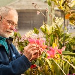 Don Brown grows a variety of orchids using a reverse osmosis system to provide pure water. Photo by Chuck Place.