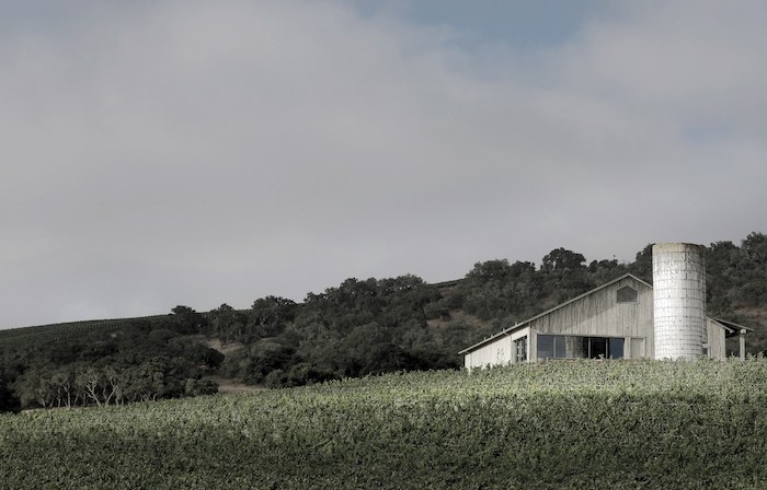 Spear Winery & Vineyard view from the vineyard, photo by Blakeney Sanford.