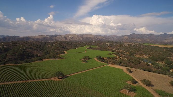 A drone view of Zaca Mesa Vineyard, courtesy Zaca Mesa.