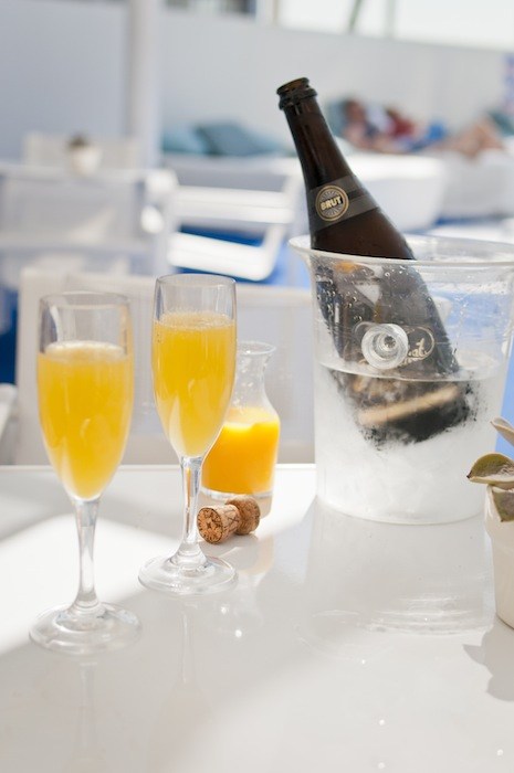 Photo vxla on Flickr: Pool-side Mimosas at The Standard Hotel, CC BY 2.0, courtesy Wikipedia Commons.