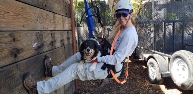 Rescue dog Mojo with Handler Tracee Walker, courtesy photo.