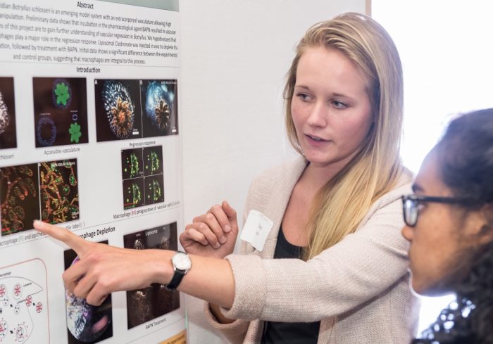 Undergraduate Research Colloquium is part of Undergraduate Research Week. Previous Undergraduate Research Colloquium participants have represented disciplines across science and engineering and the social sciences, humanities and fine arts. Courtesy photo.
