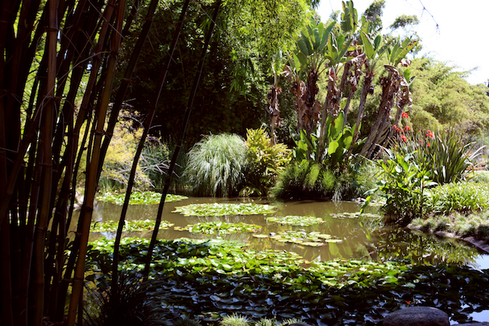 The Huntington Botanical Gardens, courtesy Visit Pasadena.