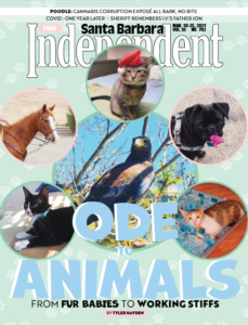 Santa Barbara Independent Cover, March 18, 2021