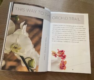 Orchid Trail, American Riviera Media
